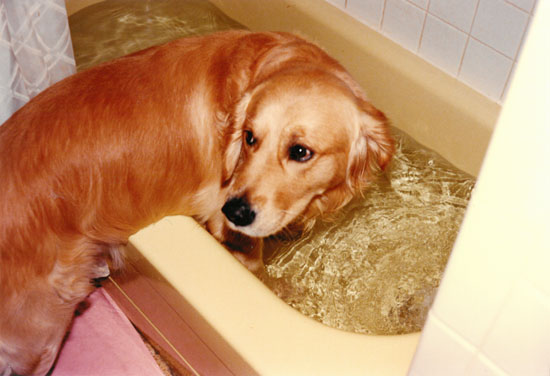 Beaumont checking out the bath water