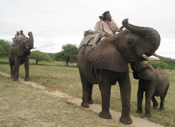 John and Janet Wordsworth riding elephants in Africa