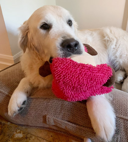 Milo Wordsworth with toy