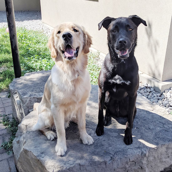 Odus with a buddy on a rock