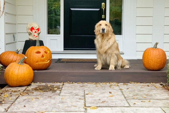 Wordsworth front door with pumpkin