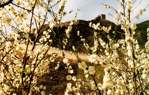 Great Wall of China in the spring