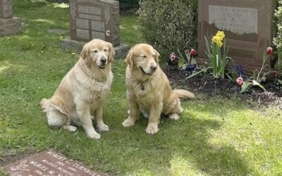 Acer and Otis at Turnbull Gravesite