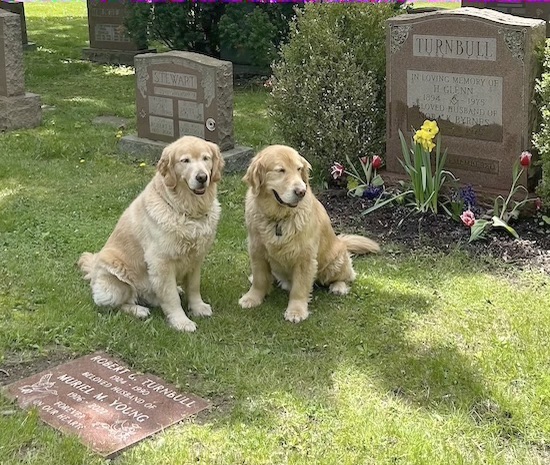 Acer and Otis at Turnbull Gravesite